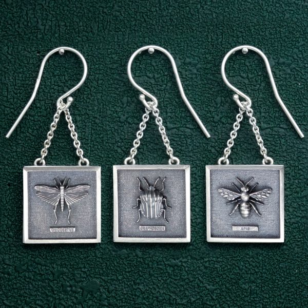 Boucles d'oreilles criquet, punaise ou abeille dans leurs cadres carrés esprit Cabinet de Curiosités déclinaisons | Res Mirum