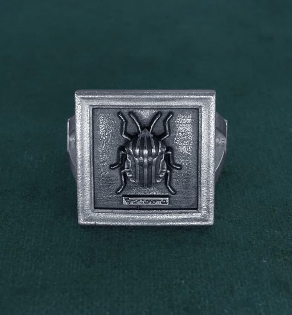 Bague carrée avec scarabée-punaise arlequin dans petit cadre entomologique en argent 925 fait main vue face | Res Mirum