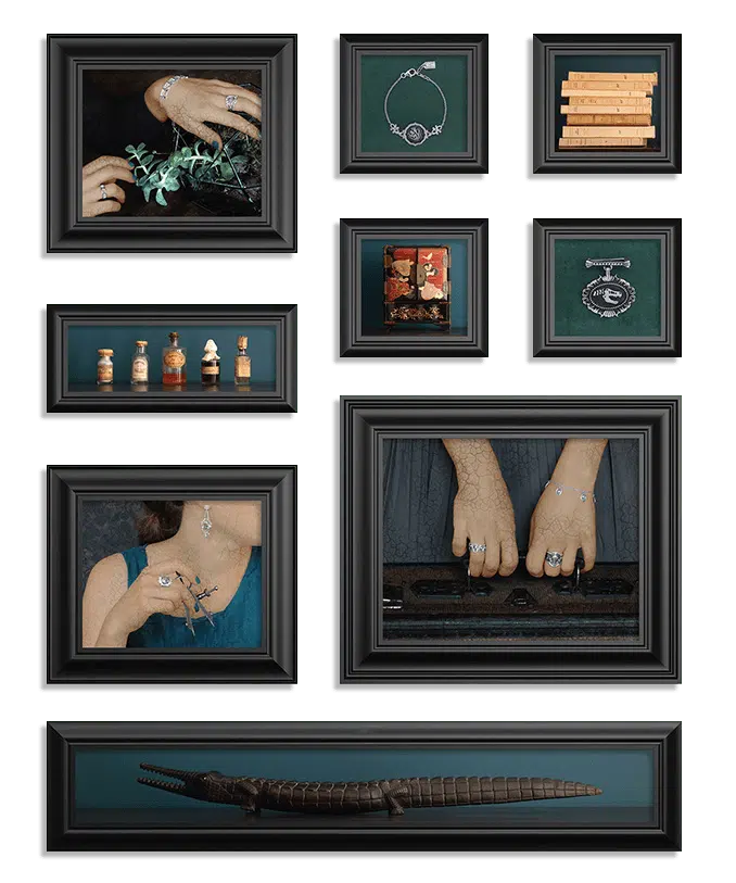 cadres-ambiance-cabinet-de-curiosites-res-mirum-1 Ambiance Cabinet de Curiosités des bijoux Res Mirum