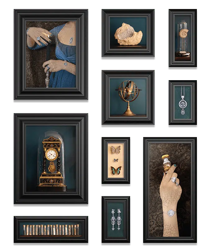 cadres-ambiance-cabinet-de-curiosites-res-mirum-3 Ambiance Cabinet de Curiosités des bijoux Res Mirum