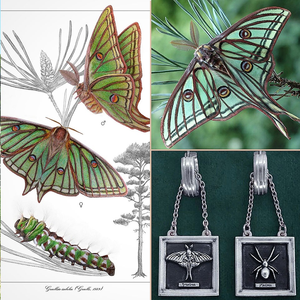 Ambiance des boucles d'oreilles papillon de nuit Isabelle ou vitrail façon entomologie