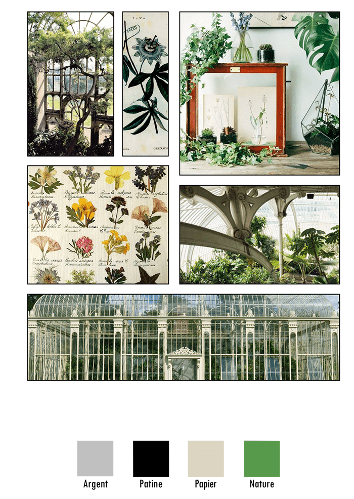 Planche d'ambiance de la ligne Botanique inspirée des serres, orangeries & planches botaniques et herbiers