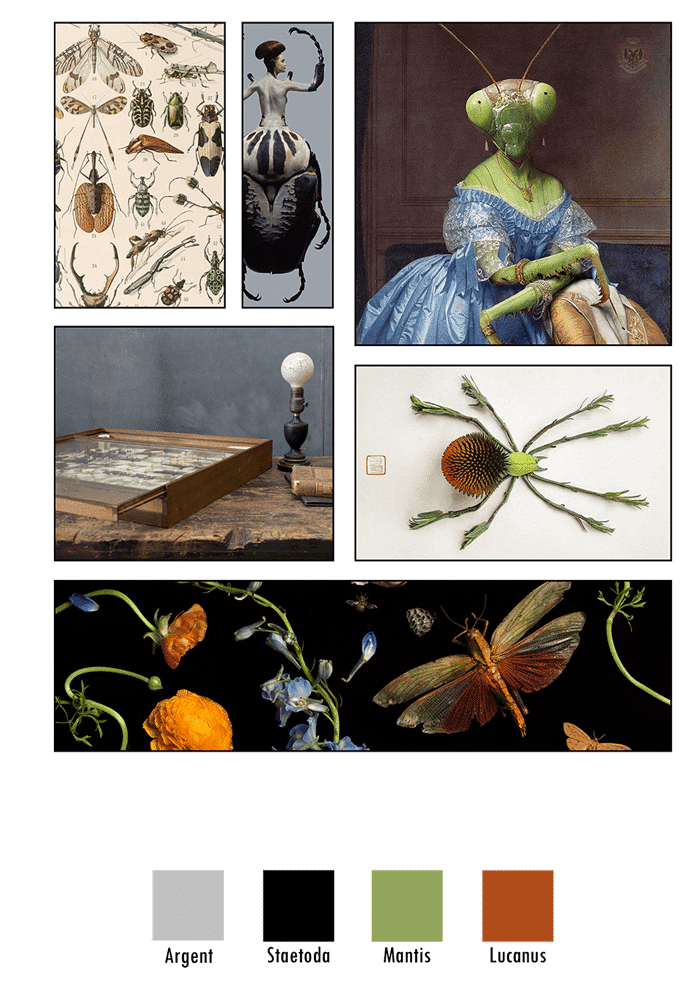 Planche d'ambiance de la ligne Entomologie imaginée à partir des collections d'insectes; abeilles, scarabées, papillons, criquets, mante religieuse...