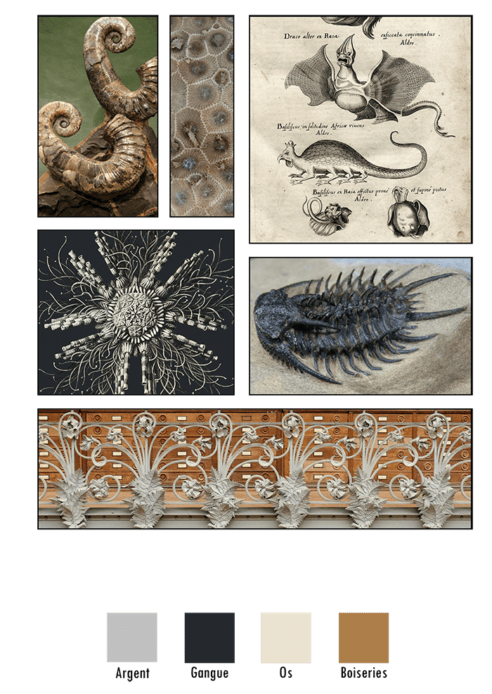 Planche d'ambiance de la ligne Paléontologie créée autour des fossiles de trilobites, limules, chimères, sirènes, crinoïde & autres coquillages…