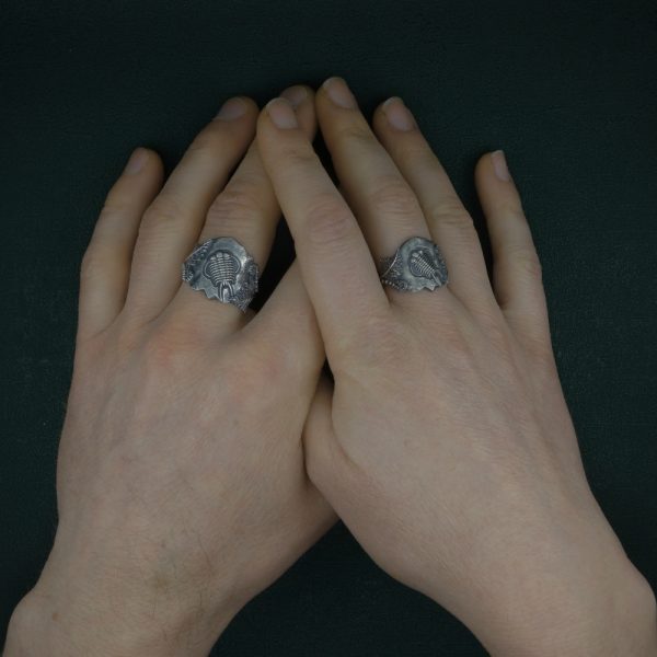 Bague inspirée d'un fossile de trilobite, animal fascinant et très présent pendant des millénaires portée sur mains | Res Mirum